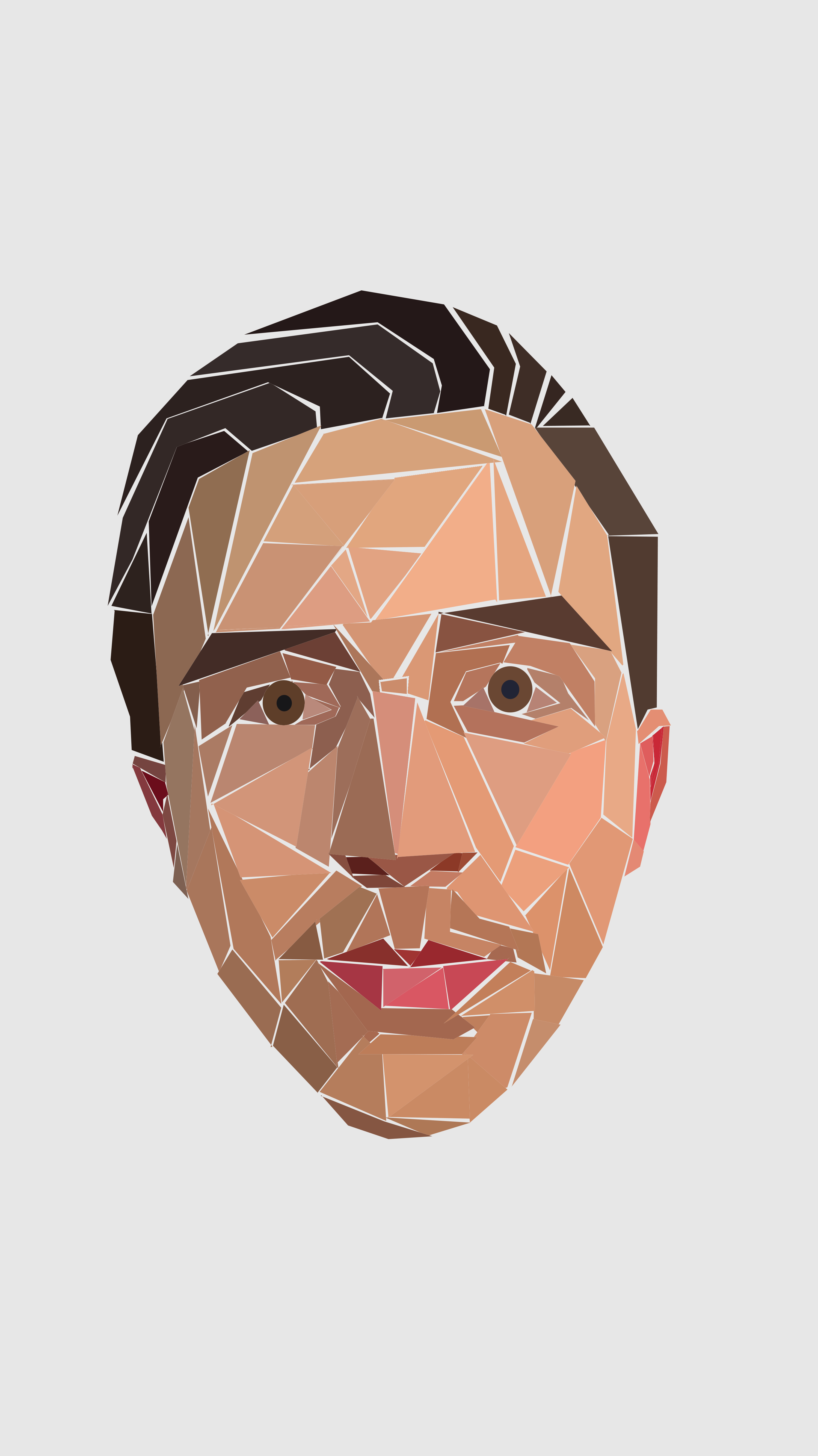 My face built with triangles